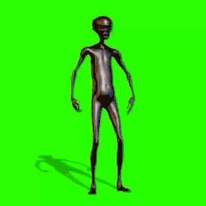 Meet your Posher, Erick